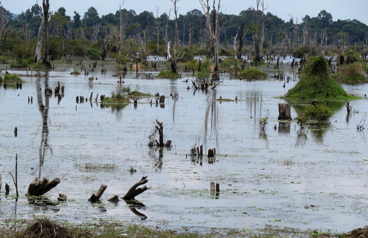 The Enigma of the Lost City of Angkor Wat